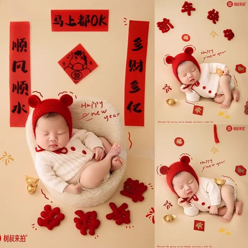 Photography Year - 2026 Horse New Year Newborn Photography