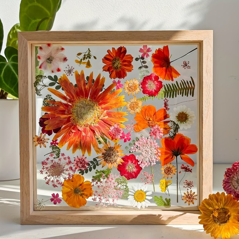 Double Sided Transparent Woode - Photography Hacks recension och pris