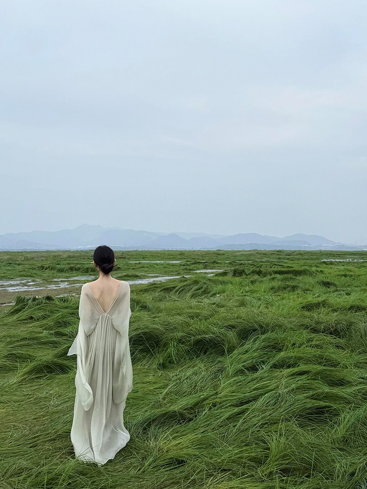 New Chinese Style Loose Long D - Photography Zen recension och pris