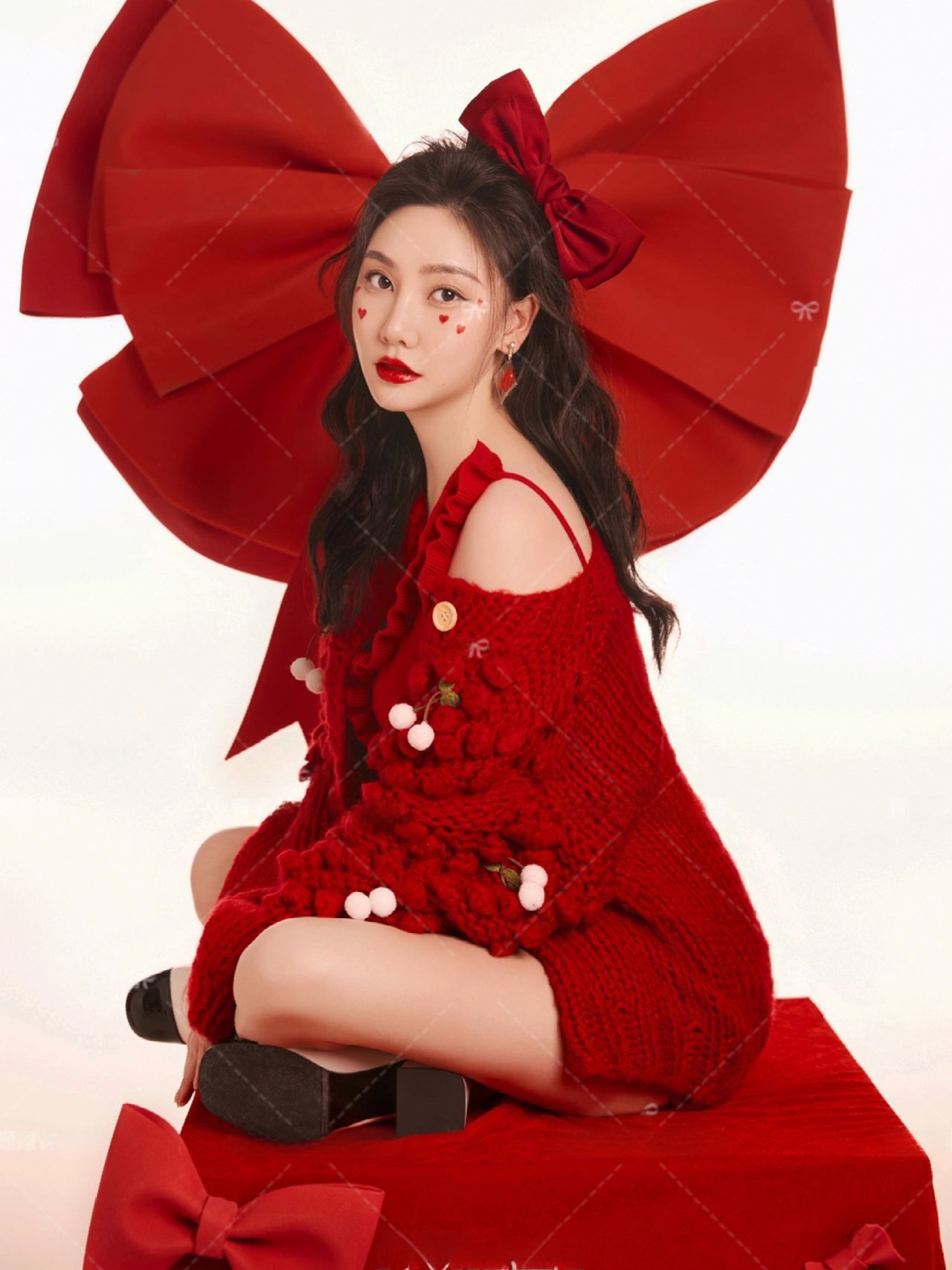 Red Sweater Christmas Theme Ne - Photography Year recension och pris