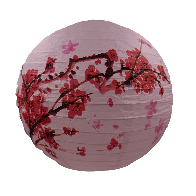30cm Printed Paper Chinese Sty - Photography Year recension och pris