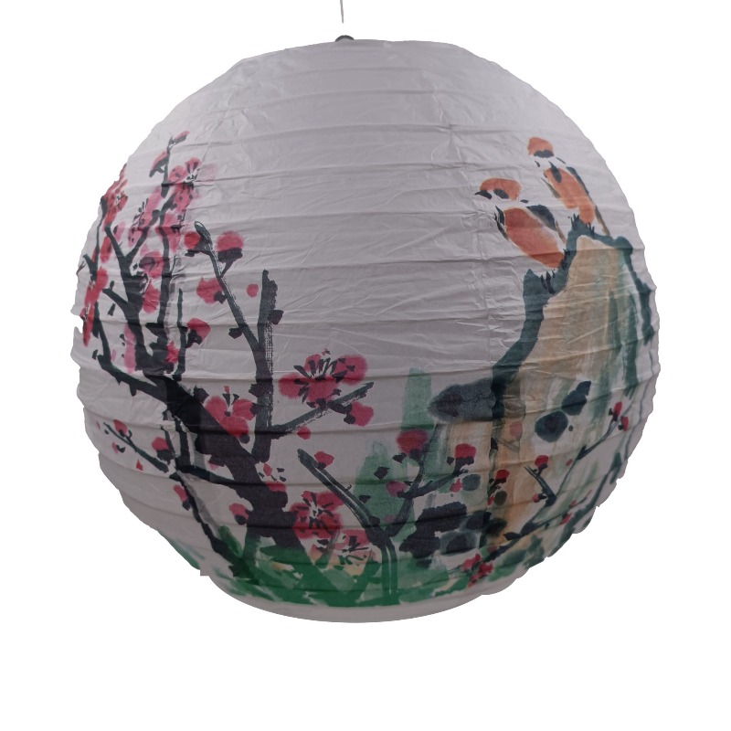 30cm Printed Paper Chinese Sty - Photography Year recension och pris